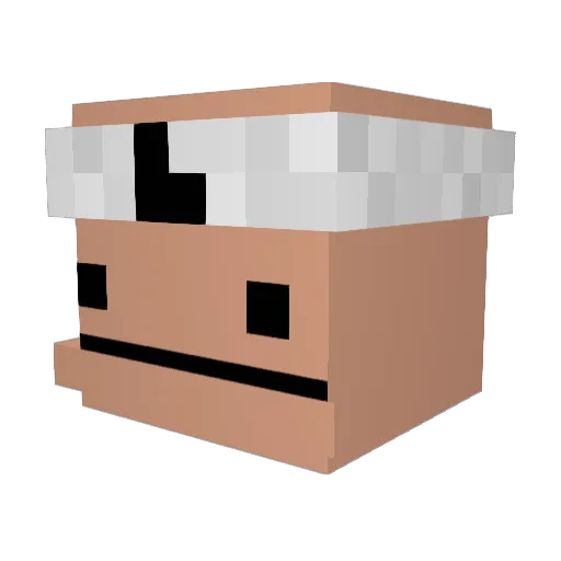 r0psu69 Minecraft avatar head, 3D render
