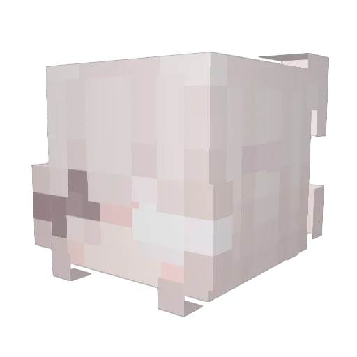 r0ttings Minecraft avatar head, 3D render