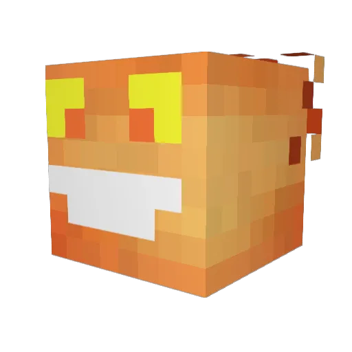 r1004n Minecraft avatar head, 3D render