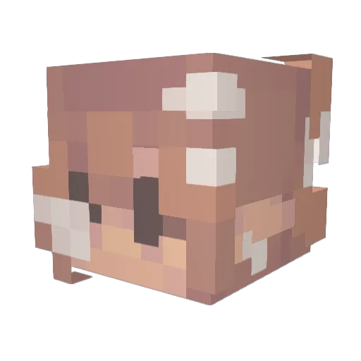 r1ddle06 Minecraft avatar head, 3D render