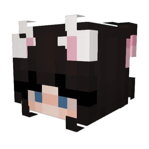 r1mnox Minecraft avatar head, 3D render