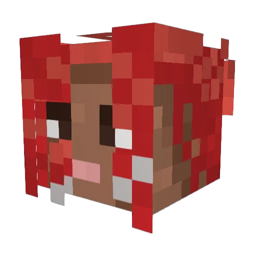 r1p_rewx Minecraft avatar head, 3D render