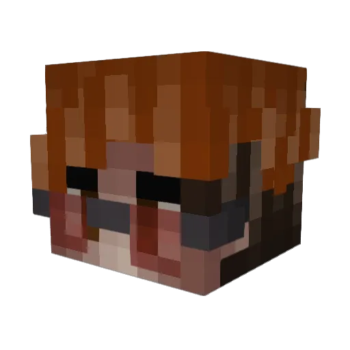 r33fers Minecraft avatar head, 3D render