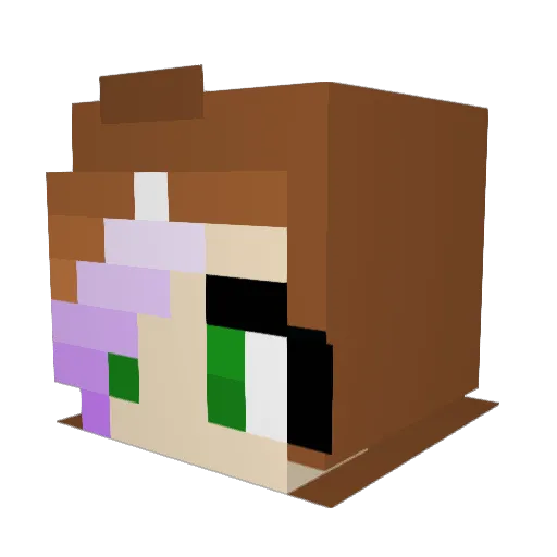 r3b3cc4 Minecraft avatar head, 3D render