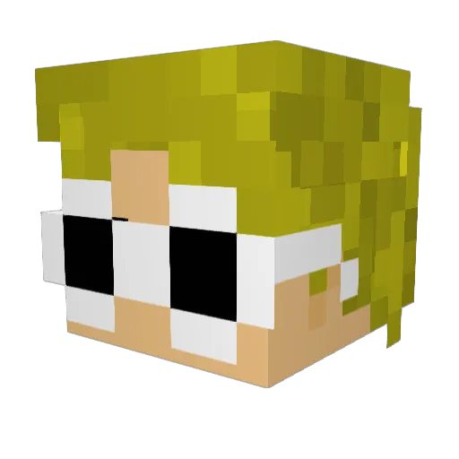 r3idster Minecraft avatar head, 3D render