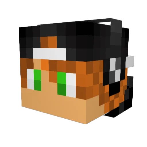 r3je6T Minecraft avatar head, 3D render