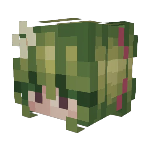 r3n_2 Minecraft avatar head, 3D render