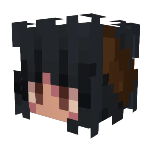 r3nnnnnn Minecraft avatar head, 3D render