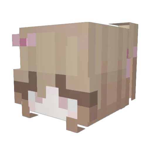 r3sn4nt Minecraft avatar head, 3D render