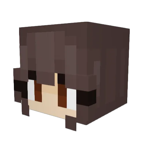 r41nb0wgutz Minecraft avatar head, 3D render