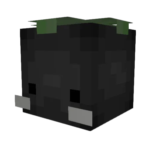 r444ge Minecraft avatar head, 3D render