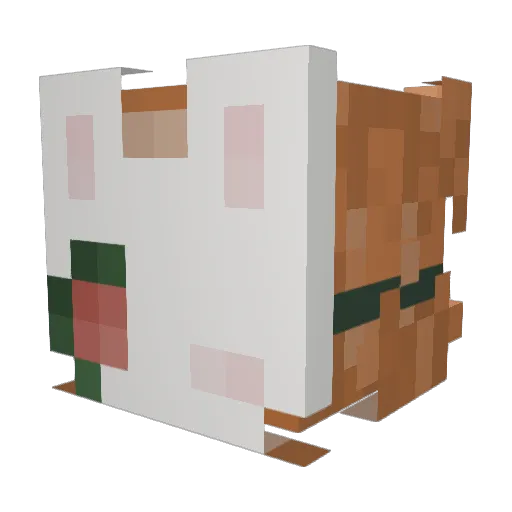 r4bbjt Minecraft avatar head, 3D render