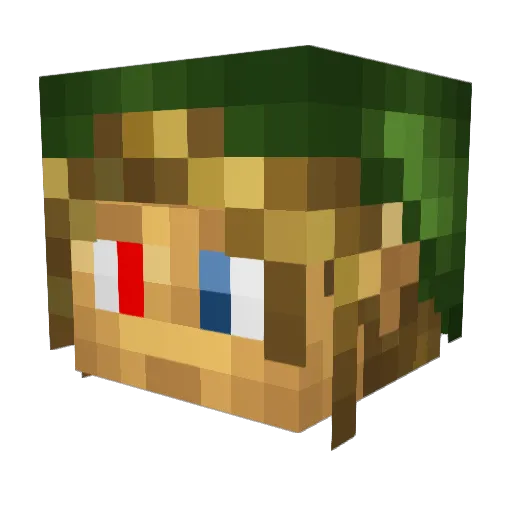 r4ncor Minecraft avatar head, 3D render