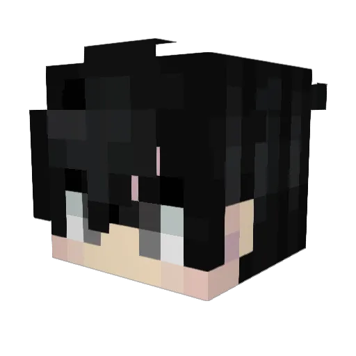 r4sh1d Minecraft avatar head, 3D render
