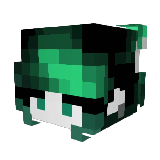 r4shel Minecraft avatar head, 3D render