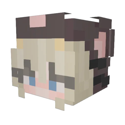 r4tpi3 Minecraft avatar head, 3D render