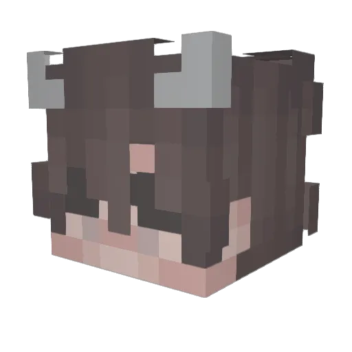 r4yguns Minecraft avatar head, 3D render