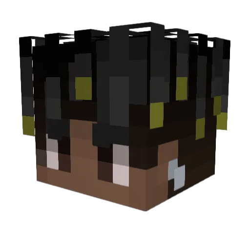 r7bs0n Minecraft avatar head, 3D render