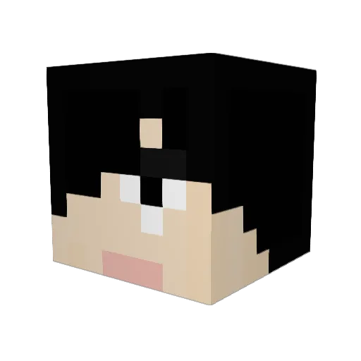 r82gou Minecraft avatar head, 3D render
