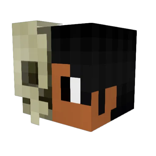 r9capolot Minecraft avatar head, 3D render