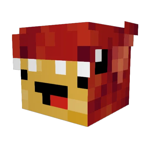 rAWpOTATO1 Minecraft avatar head, 3D render