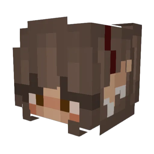 rAtSoup2008 Minecraft avatar head, 3D render