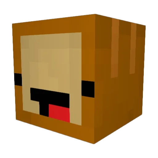 rDylann Minecraft avatar head, 3D render