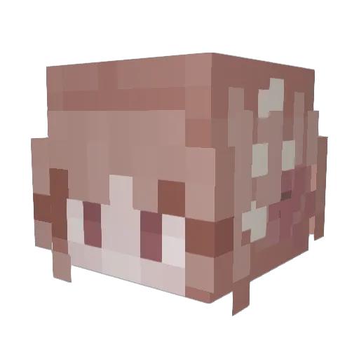 rFelipe_ Minecraft avatar head, 3D render