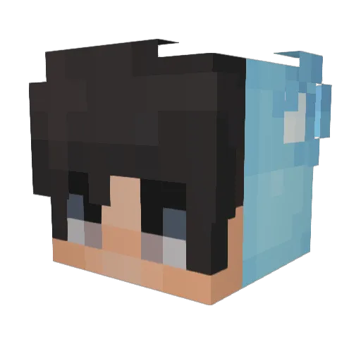 rLynx710 Minecraft avatar head, 3D render