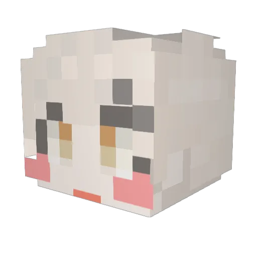 rOwOa Minecraft avatar head, 3D render