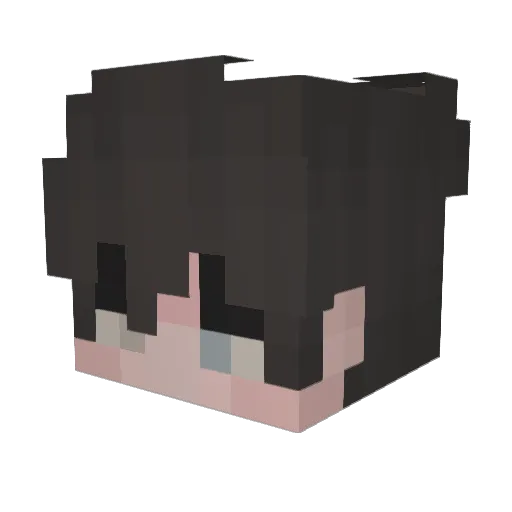 rTag Minecraft avatar head, 3D render