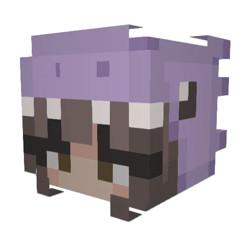 rTchie Minecraft avatar head, 3D render