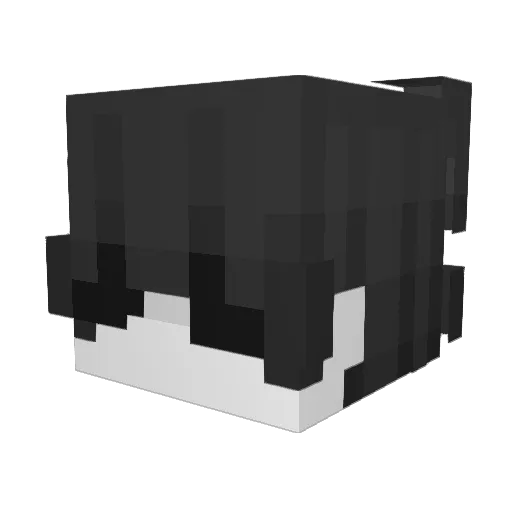 rY2x Minecraft avatar head, 3D render