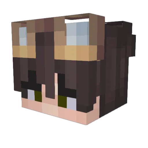 r_botzy Minecraft avatar head, 3D render