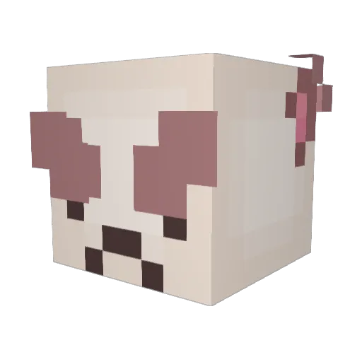 r_brioche Minecraft avatar head, 3D render