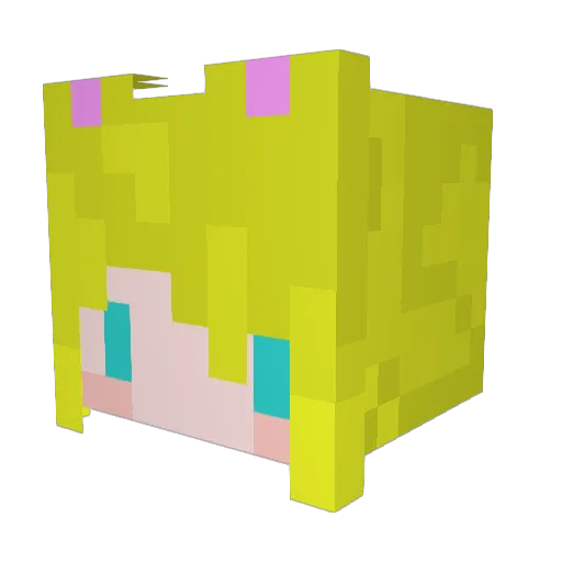 r_foxtail Minecraft avatar head, 3D render