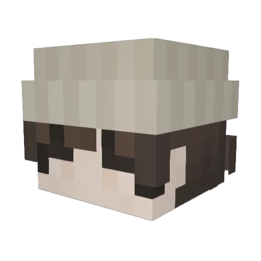 r_hyme_ Minecraft avatar head, 3D render