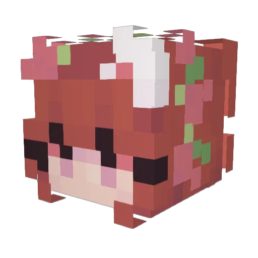 r_reem Minecraft avatar head, 3D render
