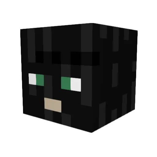 ra1d3n00 Minecraft avatar head, 3D render