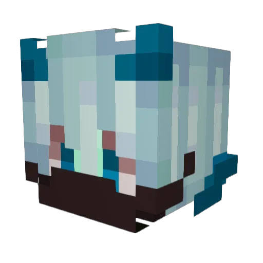 ra1denn Minecraft avatar head, 3D render