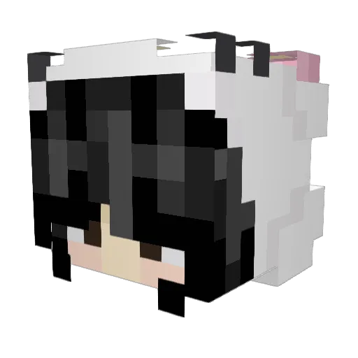 ra1ny007 Minecraft avatar head, 3D render