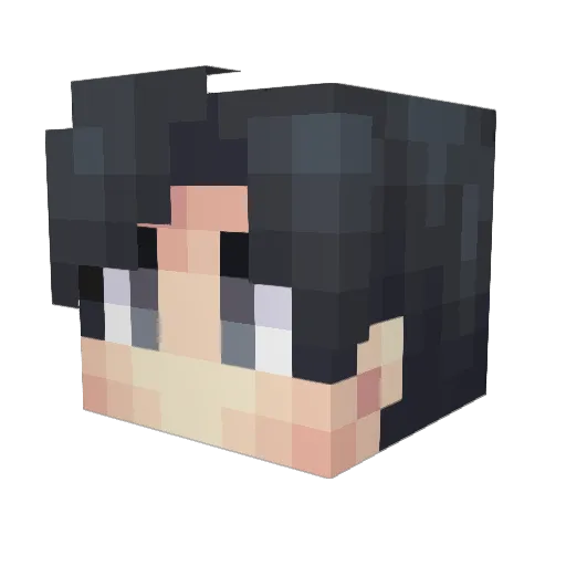 ra1nyc Minecraft avatar head, 3D render