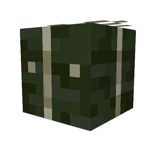 ra1nyd9ys Minecraft avatar head, 3D render