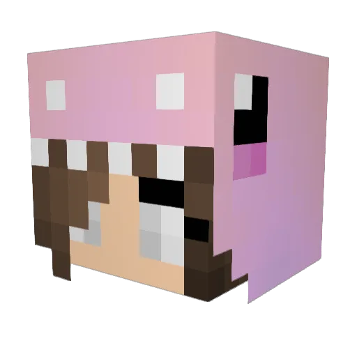 ra1nyface Minecraft avatar head, 3D render
