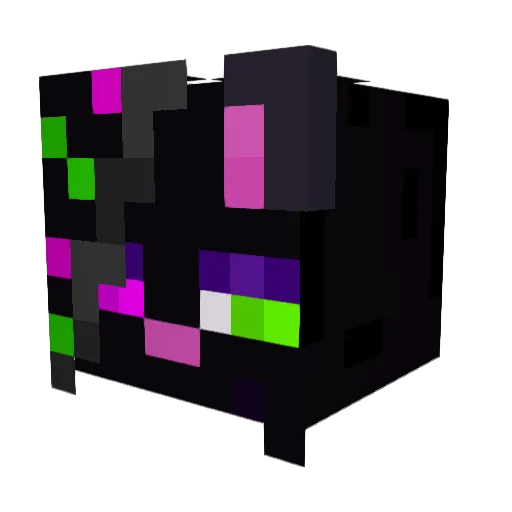 raYne1527 Minecraft avatar head, 3D render