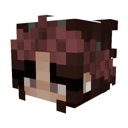 raaqueel27 Minecraft avatar head, 3D render