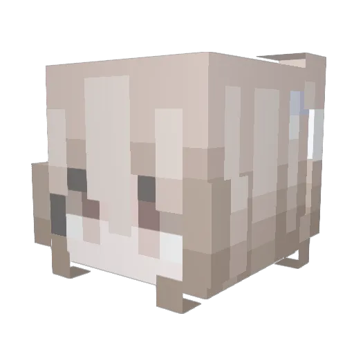 raarie Minecraft avatar head, 3D render