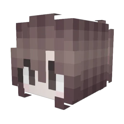 rabbit3 Minecraft avatar head, 3D render