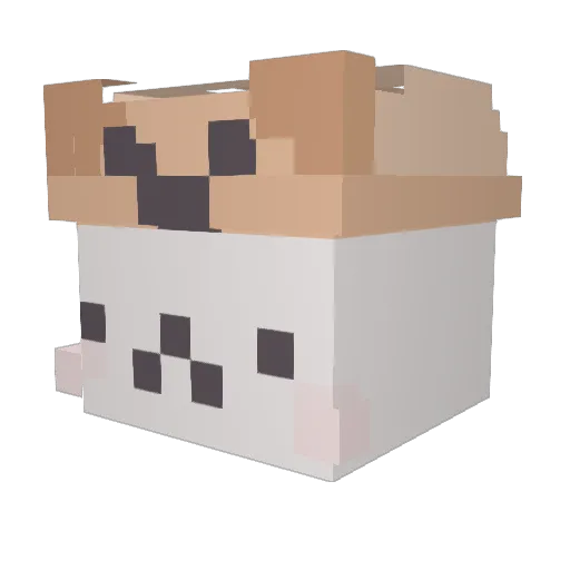 rabbit_dodo Minecraft avatar head, 3D render
