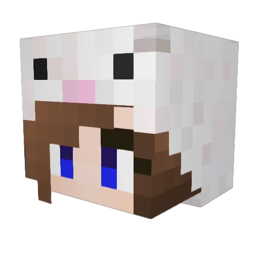 rabbitusagi Minecraft avatar head, 3D render
